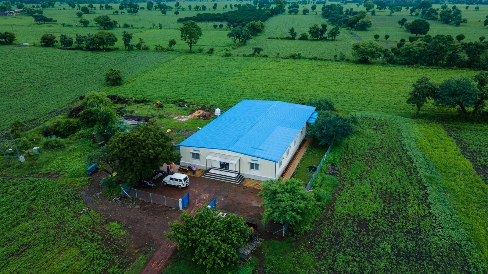 Farmers standing in an irrigated field